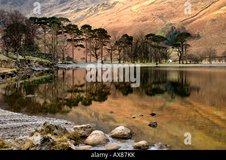 Buttermere Lake District UK Banque D'Images