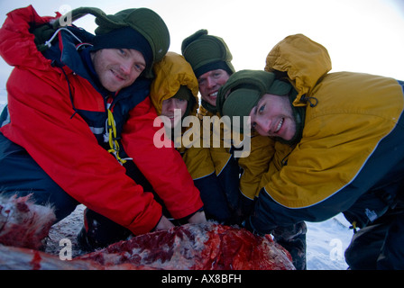 Sans nourriture pendant près de 2 jours, les recrues doivent tuer la peau et butcher un bœuf musqué de l'alimentation semaine de survie des Forces spéciales danois Banque D'Images