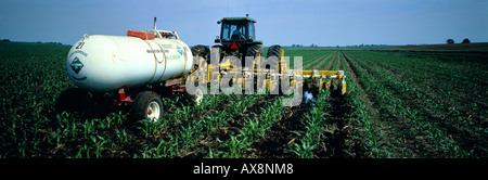 Jusqu'à la crête AVEC CULTIVATEUR RÉSERVOIR D'AMMONIAC ANHYDRE dans 12 MAÏS montrant l'ammoniac s'échapper dans l'IOWA Banque D'Images