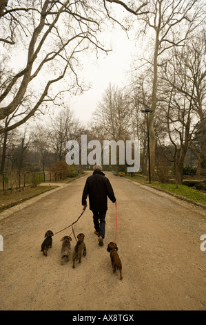 Un homme MARCHE À TRAVERS LES PETITS CHIENS Giardini Pubblici Milan Italie Banque D'Images