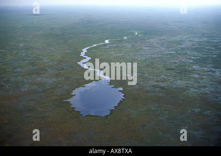 Vue aérienne du lagon, Esteros del Iberá Iberá, zones humides, Rio Paraná, Corrientes, Argentine Banque D'Images