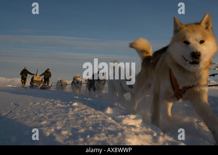L'équipe de chien de traîneau 5 Jens Jepsen et Soren Christiansen 30 Forces Spéciales danois chien Sirius Mestersvig patrouille au nord est du Groenland. Banque D'Images