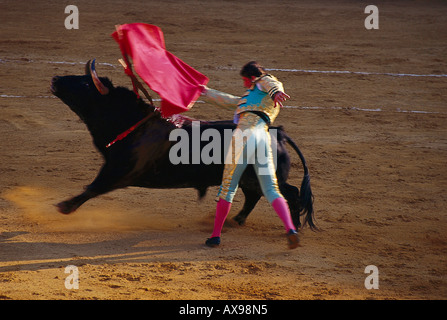 Corrida de Toros, Stierkampf, Jerez de la Fronere, Provinz Cádiz Andalusien, Spanien Banque D'Images