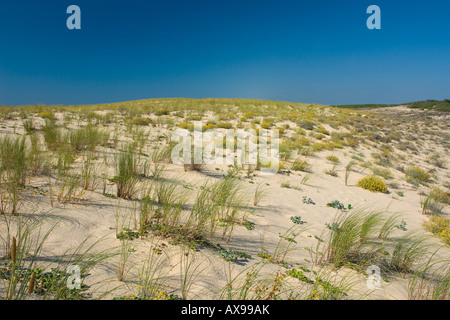 Sur les dunes France Europe de l'Atlantique Banque D'Images