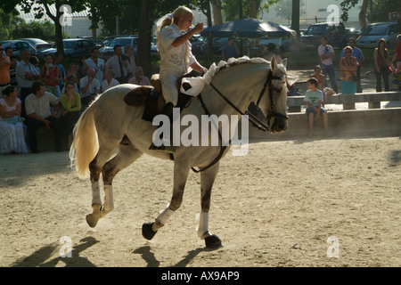 Sónia Matias, célèbre portugais bull fighter exerçant à son cheval avant une corrida Banque D'Images
