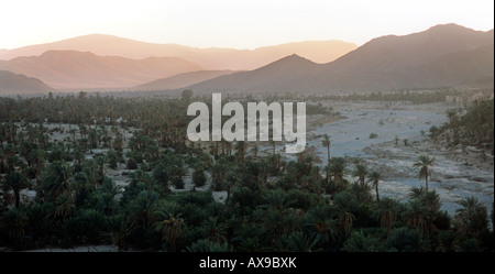 Coucher de soleil sur l'ouest de Palmeriae à Tata, sur la plaine du Sahara sud Maroc Banque D'Images