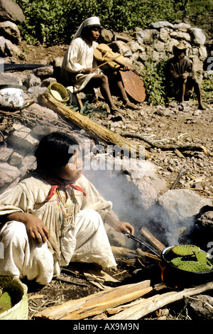 Le Mexique. La Sierra Madre occidentale. La Sierra Tarahumara. La cuisine jeune fille Tarahumara feuilles de cactus nopal Banque D'Images