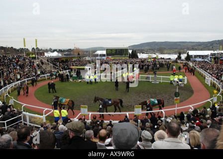 Les coureurs et les cyclistes de la parade sur la bague de la coupe d'or à jour au cours de l'Hippodrome de Prestbury Cheltenham Festival National Hunt Banque D'Images