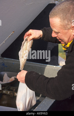 Pêcheur en bord de la sélection de lieu jaune filets de poisson frais local de vente Banque D'Images