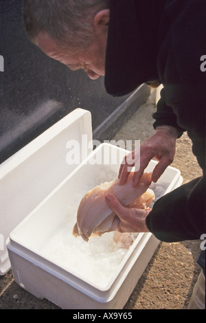 Pêcheur en bord de la sélection de lieu jaune filets de poisson frais local de vente Banque D'Images