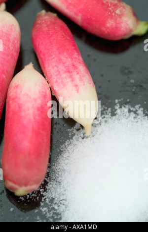 Français sur un radis biologiques plaque noire, avec du sel Banque D'Images