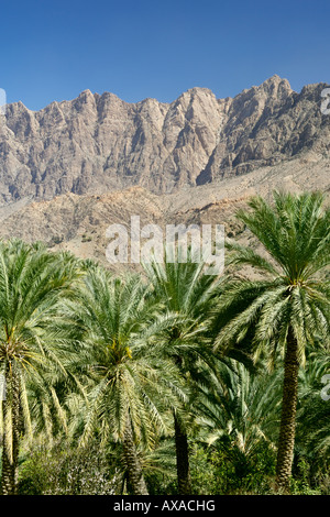 Paysage dans la région de la cuvette Abidjan Marcory Zone 4 Jebel Akhdar étendue dans les montagnes Hajar occidental d'Oman. Banque D'Images