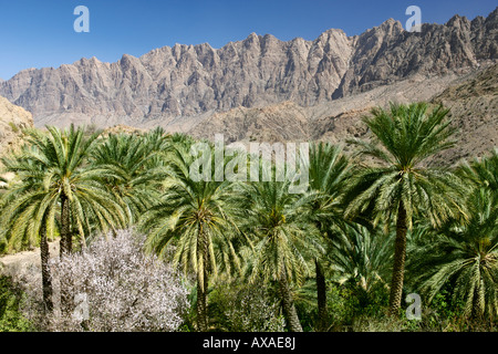 Paysage dans la région de la cuvette Abidjan Marcory Zone 4 Jebel Akhdar étendue dans les montagnes Hajar occidental d'Oman. Banque D'Images