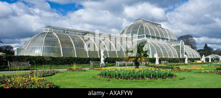 Le Palm House Royal Botanical Gardens de Kew London England UK Banque D'Images