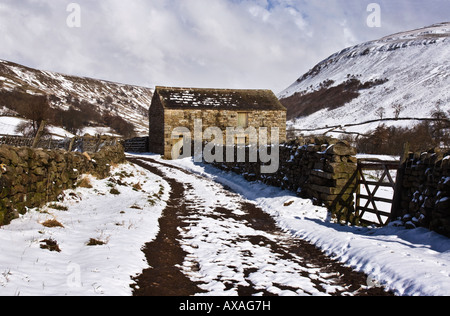 Domaine grange à Muker dans Swaledale, Yorkshire du Nord Banque D'Images