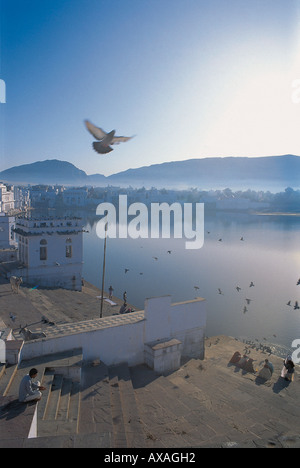Sur le lac sacré de Pushkar avec colombes et de prêtres dans la matinée, Pushkar, Rajasthan, India Banque D'Images