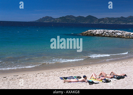 Plage, Plage du Midi, Cannes Côte d'Azur, France Banque D'Images