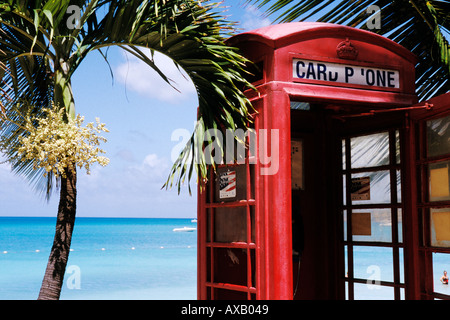 Antigua, Dickenson Bay, cabine téléphonique et palmiers Banque D'Images