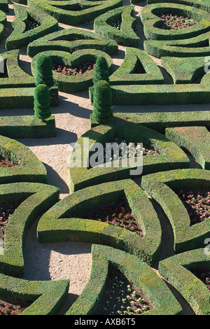 Jardins de l'amour, Villandry, château Chateau Villandry, Loire, Loire Valley, Val de Loire, France Banque D'Images