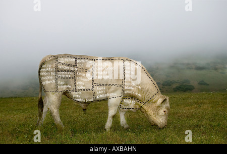 Coupes de boeuf Banque D'Images
