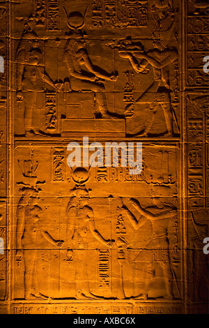 Sculptures hiéroglyphiques dans le Temple d'Isis Philae sanctuaire intérieur près de Nubie Assouan Haute Egypte Afrique du Nord Moyen-orient Banque D'Images