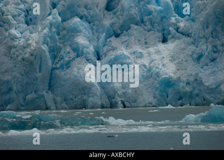 Andian montagne,Andes,Snow,randonnées,Stepp Patagonien, fondre, les lacs glaciaires, les glaciers, les Icebergs,,le Chili,,Torres del Paine National Park Banque D'Images