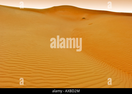 L'aube plus de Wahiba Sands (Ramlat al Wahaybah) en Oman. Banque D'Images