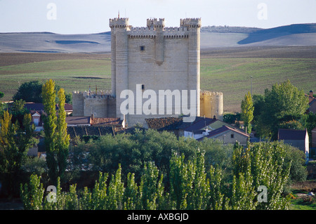 Castillo Torrelobaton, Tierra de Campos de Castilla, Espagne Banque D'Images