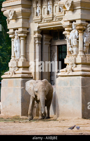 C'est quitter l'éléphant logement décoré à Buenos Aires Zoo Banque D'Images