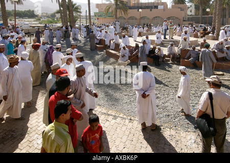 Vue de l'arène du bétail au marché du vendredi dans la ville de Nizwa en Oman. Banque D'Images