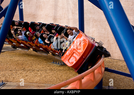 Roller Coaster de Scorpion à Busch Gardens Tampa Florida USA Fl U S Banque D'Images