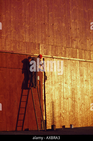 Soleil se reflète sur la peinture humide comme agriculteur peint sa grange près de Manheim Lancaster County Florida USA Banque D'Images