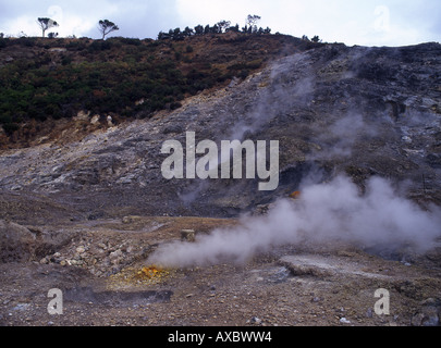 Cratère du volcan Solfatara Pozzuoli près de Campi Flegrei Naples Campanie Italie Banque D'Images