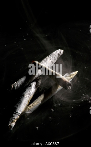 La combustion de cigarettes de marijuana sur fond noir Banque D'Images