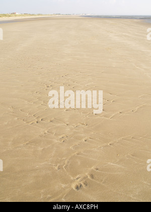 Rivage de sable sable ondulations canal humide plage modèle St Mary's Bay kent Banque D'Images