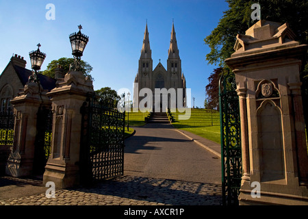 St Patrick's Roman Catholic Cathedral (RC), 1873, Armagh, County Armagh, en Irlande Banque D'Images