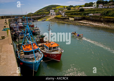 Petits bateaux de pêche arrivant au port Helvick. Un anneau, du Gaeltacht, région de langue irlandaise, comté de Waterford, Irlande Banque D'Images