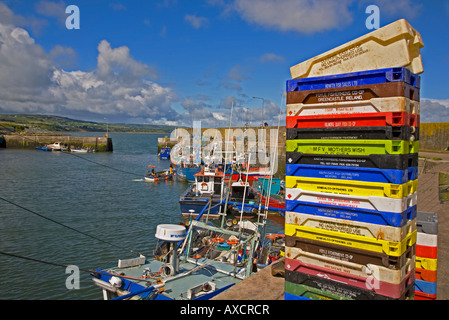 Les boîtes de poisson empilés et des bateaux de pêche dans le port, - Anneau Helvick parlant gaélique, comté de Waterford, Irlande Banque D'Images