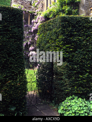 Yew clippé et couverture garden gate Banque D'Images