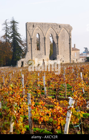 Vignoble. Ruine d'une église. Chateau Les Grandes Murailles, Saint Emilion, Bordeaux, France Banque D'Images