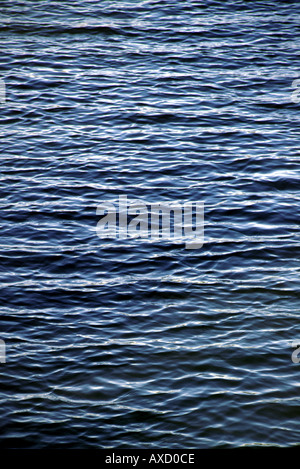 Vaguelettes sur l'eau de surface du lac Banque D'Images