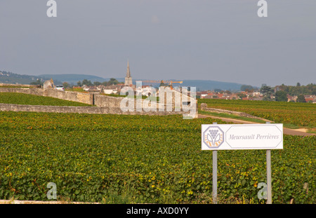 Vignoble Meursault Perrieres. Meursault village, Cote de Beaune, c d'Or, Bourgogne, France Banque D'Images