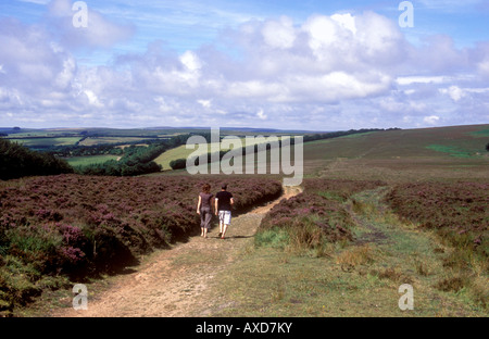 La marche sur près du village de Exmoor Exford Banque D'Images