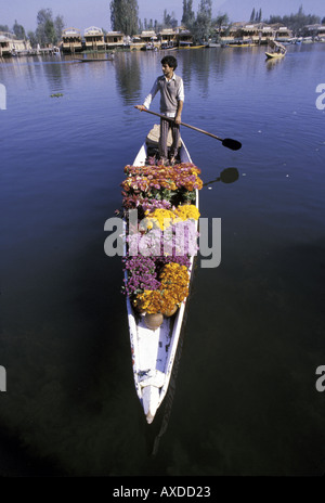 Marchande de fleurs des pagaies son bateau dans le lac Dal Srinagar cachemire. Banque D'Images