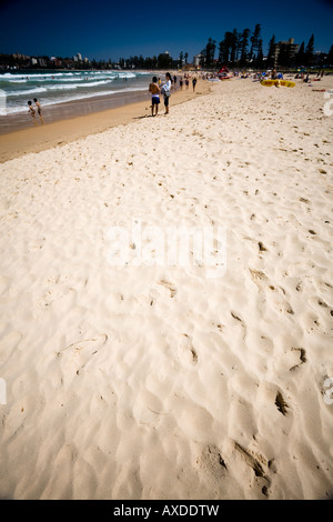 Parc Nord Steyne Manly Beach Banque D'Images