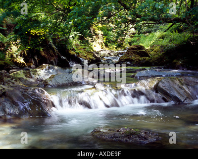 Cascade à Nant Gwernol ravin Gwynedd Banque D'Images