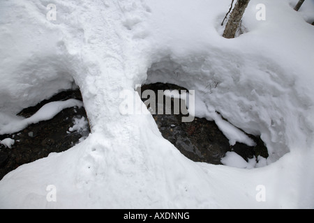 Un pont de neige sur le sentier Jewell pendant les mois d'hiver, situé dans les Montagnes Blanches du New Hampshire USA Notes Banque D'Images