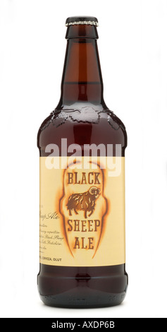 Black sheep ale bière paul theakston masham yorkshire Angleterre Royaume-Uni Royaume-Uni GB Grande Bretagne l'Europe Union Européenne UE Banque D'Images