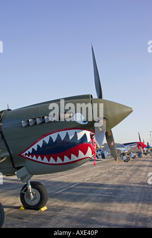 Curtiss P-40E Fighter sur l'affichage à Thunder over Michigan Air Show Banque D'Images