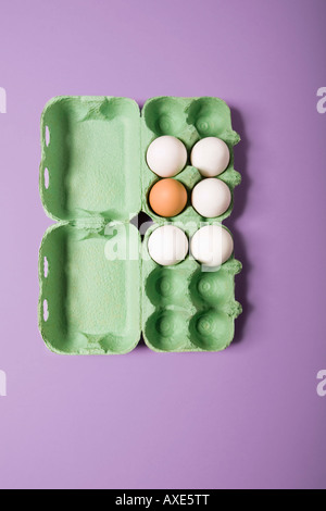 Cinq blanche et une brown oeuf dans un oeuf fort, vue elavated Banque D'Images